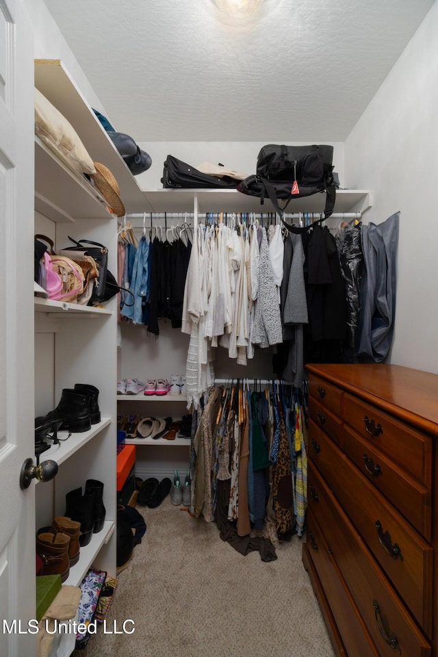 walk in closet featuring carpet floors