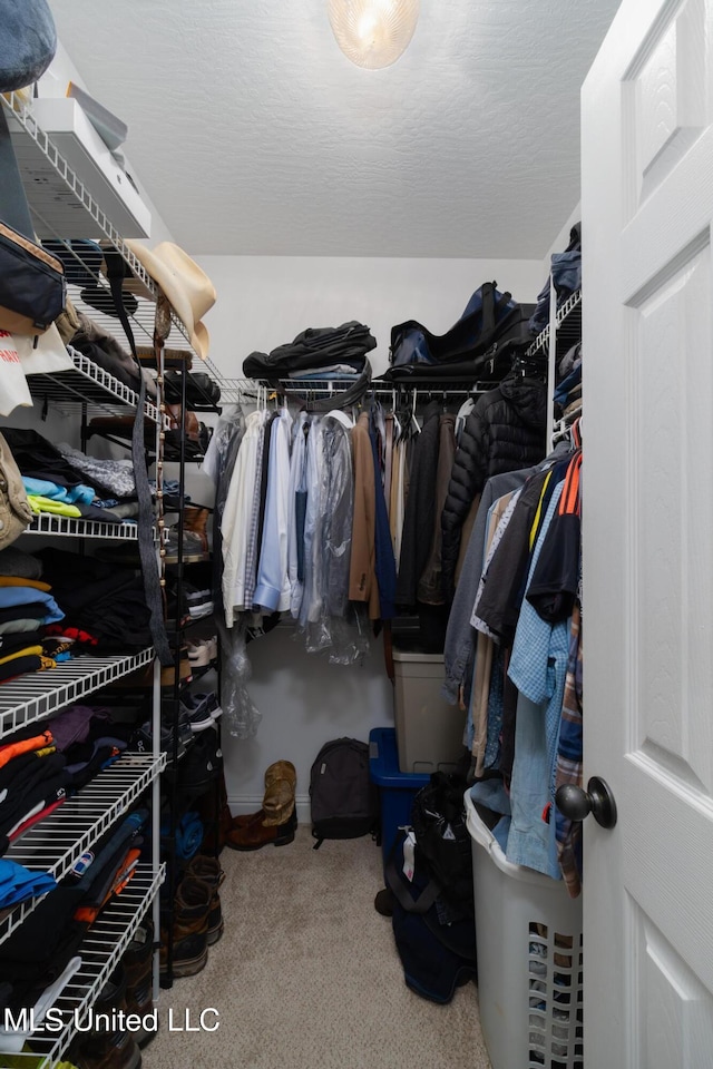 walk in closet with carpet floors