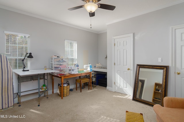 carpeted office space featuring a wealth of natural light, crown molding, and ceiling fan