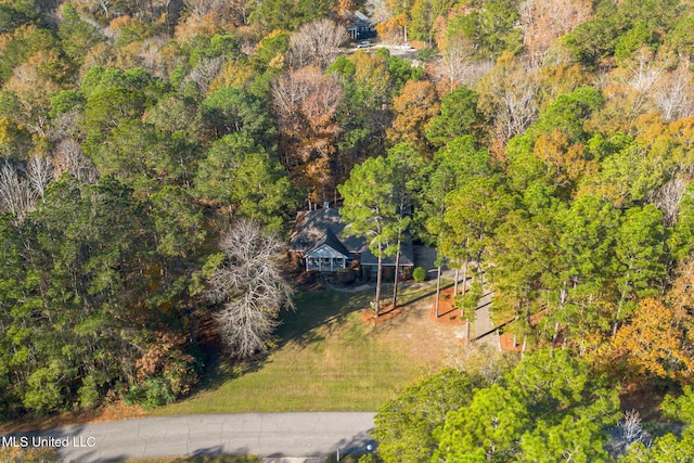 bird's eye view