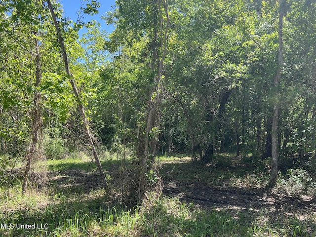 136 Leopold St, Bay Saint Louis, MS 39520