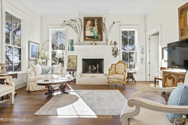 living area with a fireplace, a wealth of natural light, and crown molding