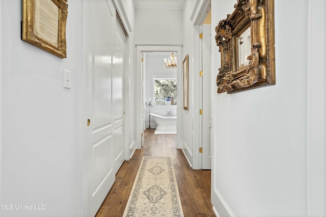 hallway with dark wood-style floors, an inviting chandelier, baseboards, and crown molding