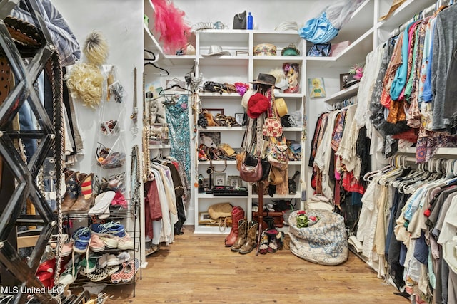 spacious closet with wood finished floors