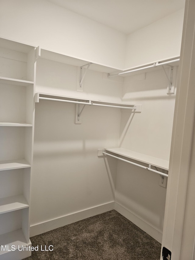 3545 Bailey Ln, Southaven, MS 38672 - walk in closet with dark colored carpet