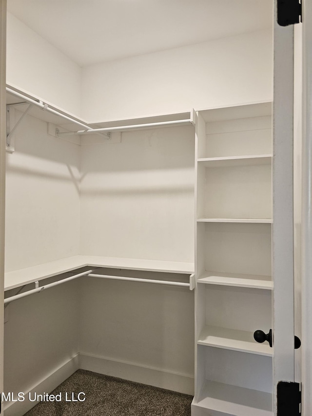 3545 Bailey Ln, Southaven, MS 38672 - spacious closet with carpet floors