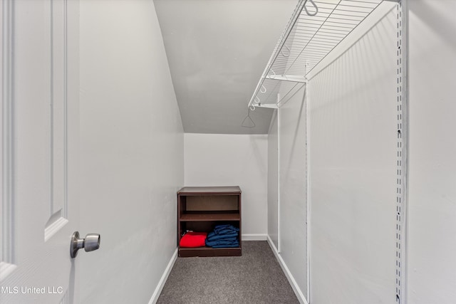 spacious closet featuring carpet