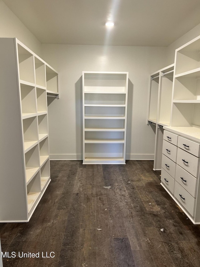 spacious closet with dark wood-style flooring