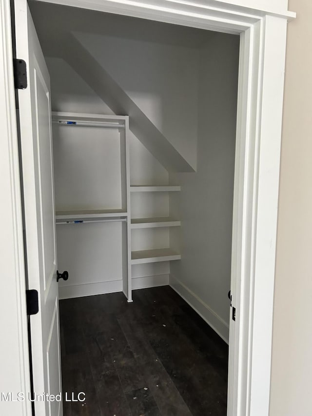 spacious closet with dark wood-type flooring