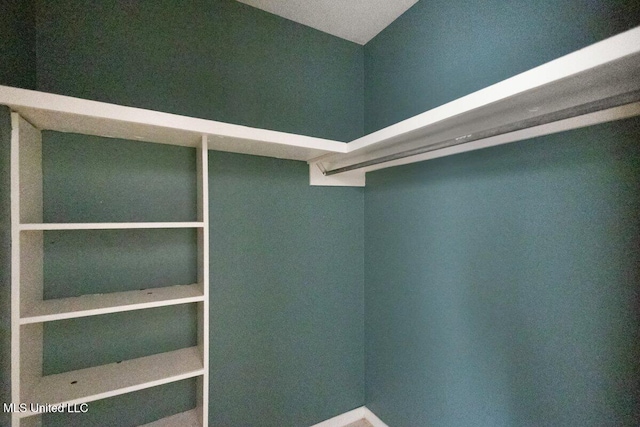 5155 Wayneland Dr Unit F6, Jackson, MS 39211 - view of spacious closet