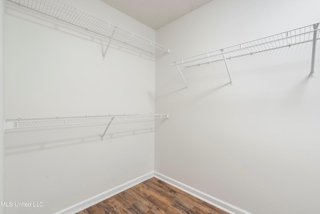 spacious closet with dark wood-style flooring