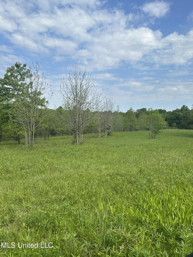 0 Pickle St, Enid, MS 38927