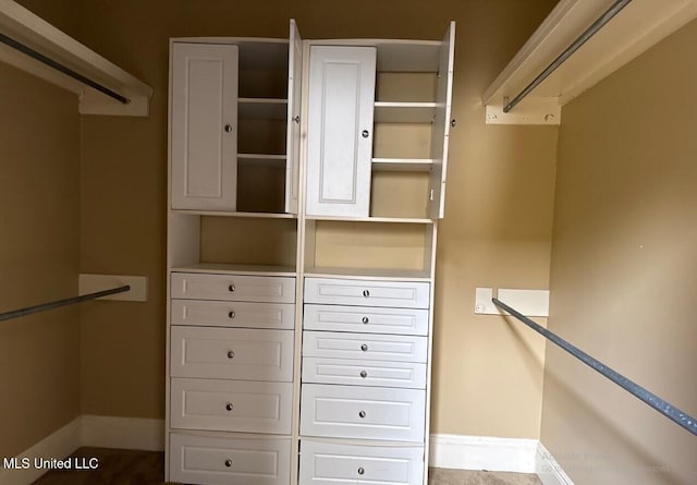 view of spacious closet