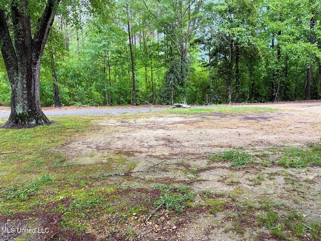 501 Liberty Church Rd, Nettleton, MS 38858 - view of yard featuring a wooded view