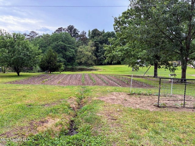 501 Liberty Church Rd, Nettleton, MS 38858 - view of grassy yard