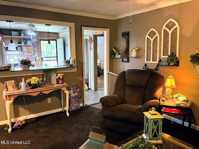 501 Liberty Church Rd, Nettleton, MS 38858 - living area with a ceiling fan, carpet flooring, and baseboards