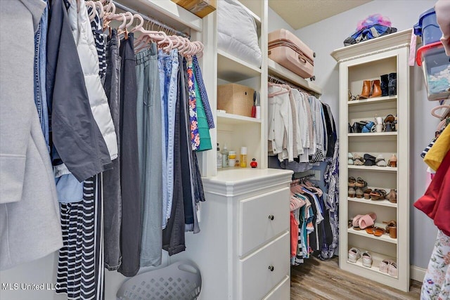 walk in closet with light wood-type flooring