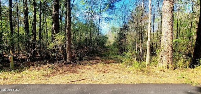 NHN Dupont Harts Chapel Rd, Poplarville MS, 39470 land for sale