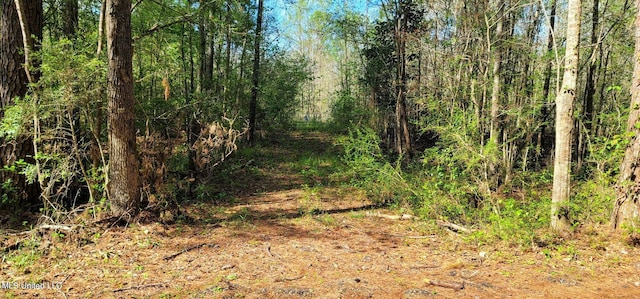 Listing photo 3 for NHN Dupont Harts Chapel Rd, Poplarville MS 39470