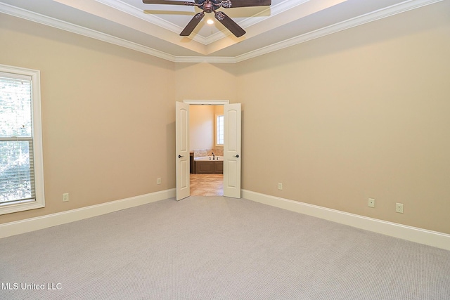 carpeted spare room featuring sink, ceiling fan, ornamental molding, and a tray ceiling