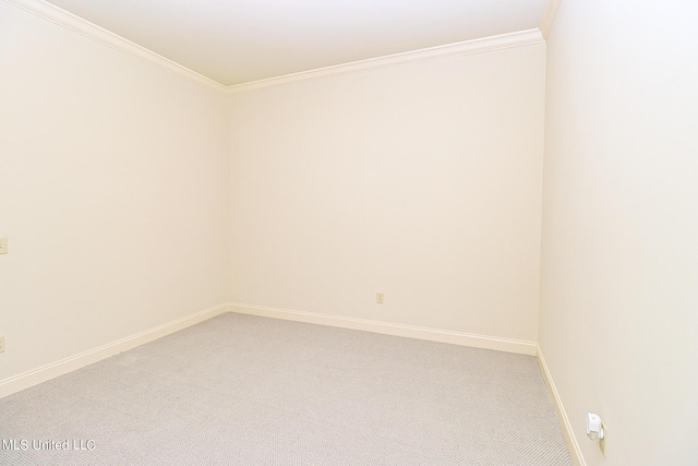 spare room featuring carpet flooring and ornamental molding