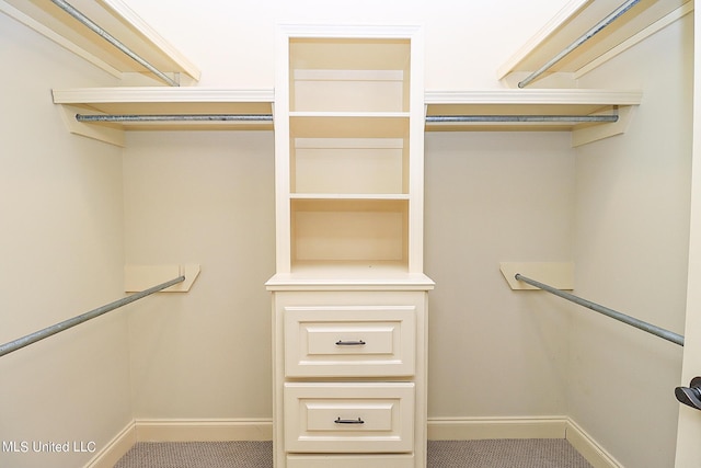 walk in closet with carpet flooring