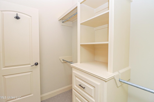 view of spacious closet