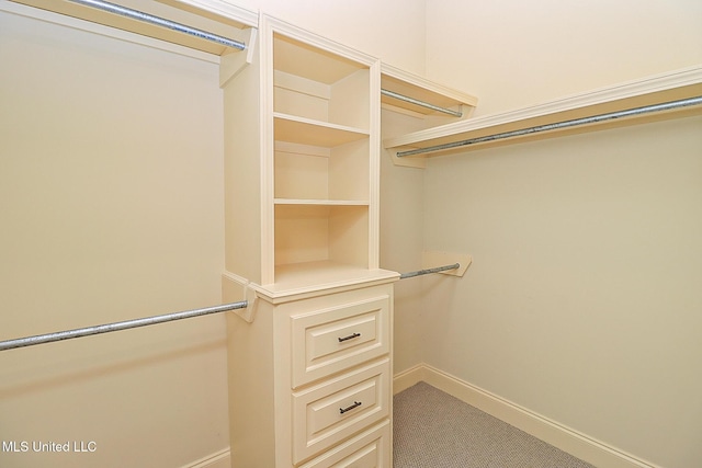 walk in closet featuring carpet flooring