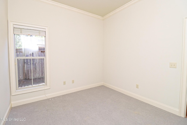 empty room with crown molding and carpet floors