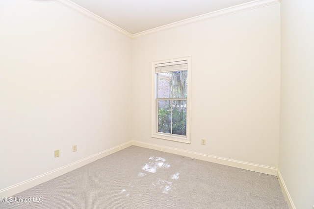 unfurnished room featuring carpet and ornamental molding