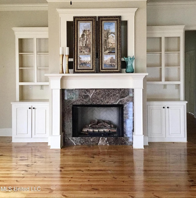 details featuring crown molding, built in features, hardwood / wood-style floors, and a premium fireplace