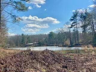 Listing photo 2 for 000 Turkey Creek Rd, Natchez MS 39120