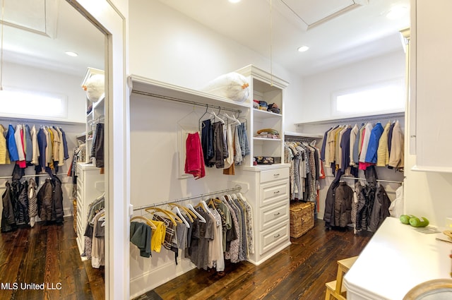 walk in closet featuring attic access and dark wood-style floors