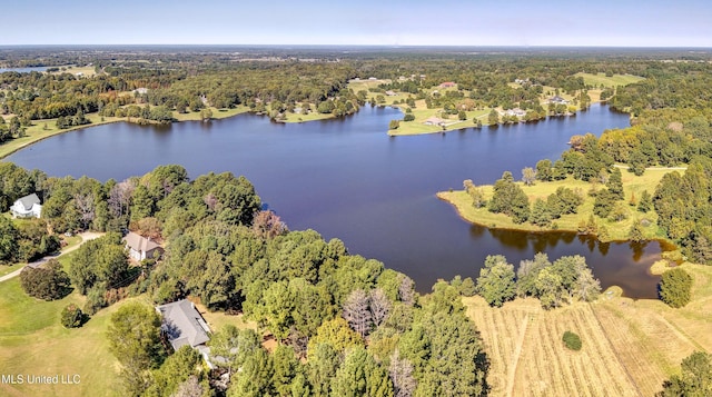drone / aerial view with a wooded view and a water view