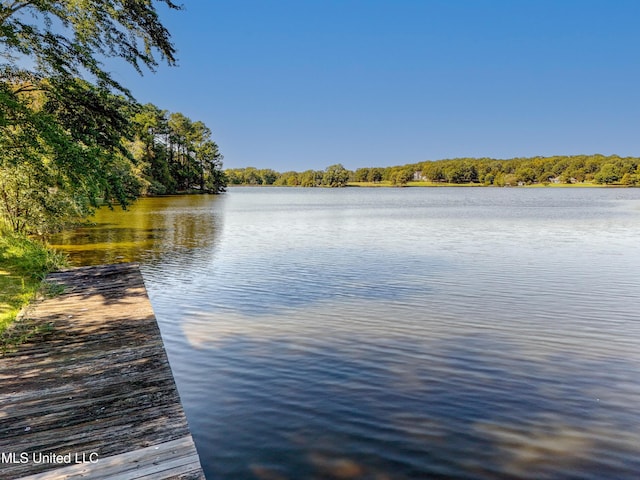 water view featuring a boat dock