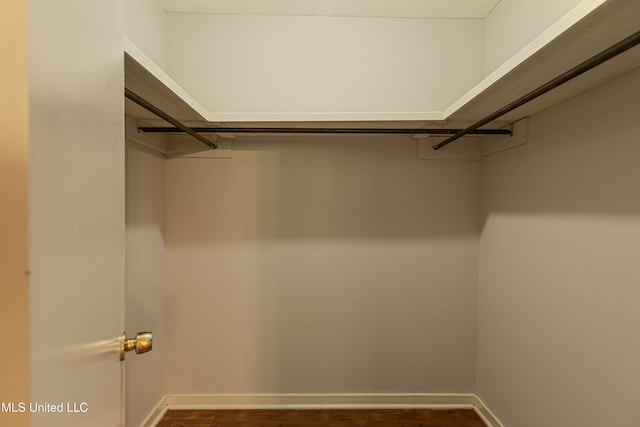 walk in closet featuring dark wood-type flooring