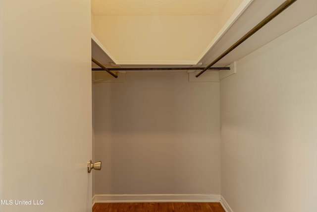 spacious closet featuring wood finished floors