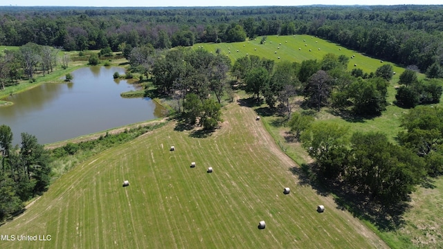 Baker Ln, Brandon MS, 39047 land for sale