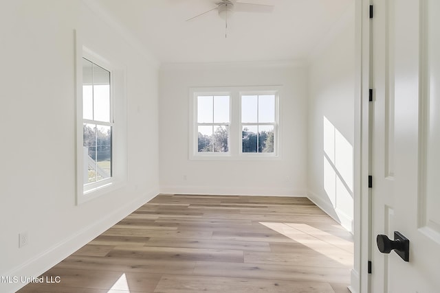 unfurnished room featuring ceiling fan, crown molding, a wealth of natural light, and light hardwood / wood-style flooring