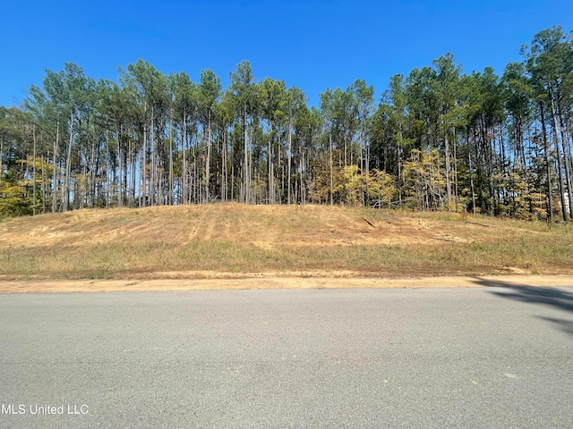 Ella Ln, Byhalia MS, 38611 land for sale