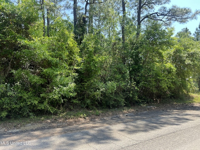 322 Wittman Ave, Pass Christian MS, 39571 land for sale