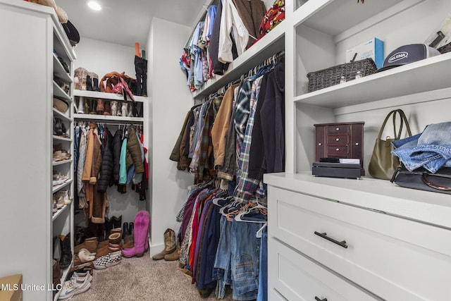 spacious closet with carpet flooring