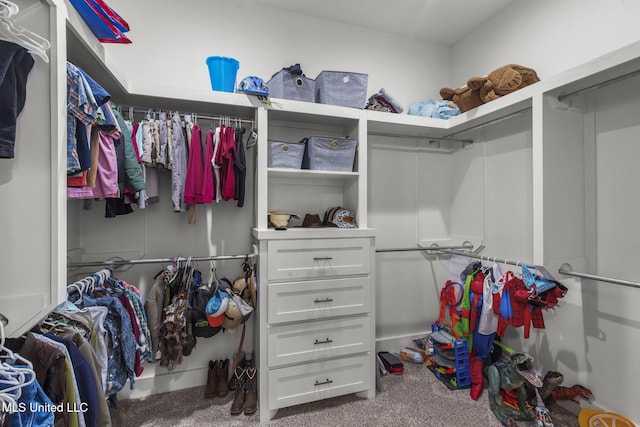 walk in closet with carpet floors