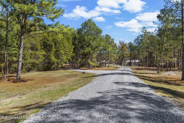 view of street with a forest view