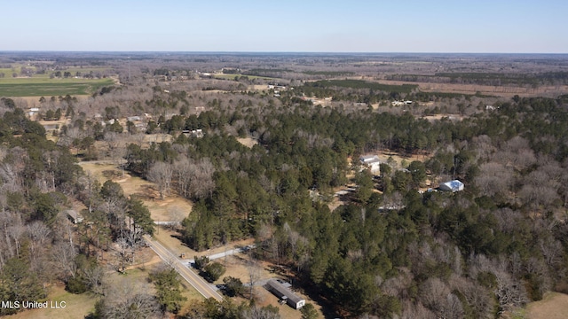 birds eye view of property with a forest view and a rural view