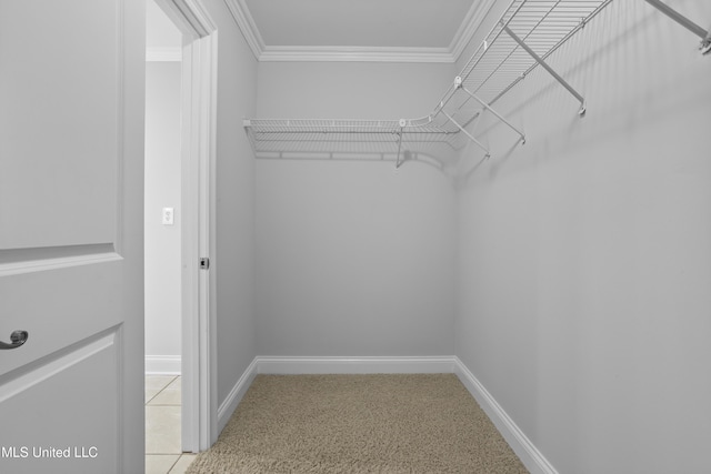 spacious closet featuring light carpet