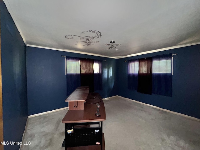 305 N Heard St, Senatobia, MS 38668 - unfurnished living room with carpet flooring, crown molding, and plenty of natural light