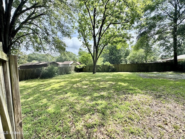 305 N Heard St, Senatobia, MS 38668 - view of fenced backyard