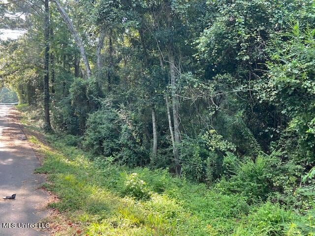 00 Rev R Powe Rd, Wiggins MS, 39577 land for sale