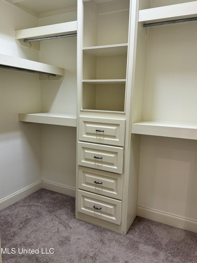 walk in closet featuring light colored carpet